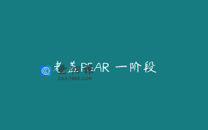 老盖PSAR®一阶段