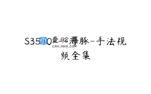 S3540—海豚-手法视频全集