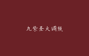 九紫圣火调频