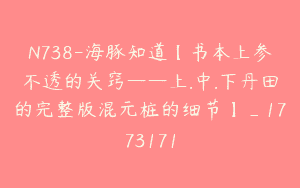 N738-海豚知道【书本上参不透的关窍——上.中.下丹田的完整版混元桩的细节】_1773171