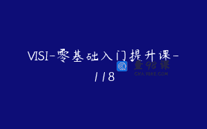 VISI-零基础入门提升课-118