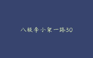 八极拳小架一路30