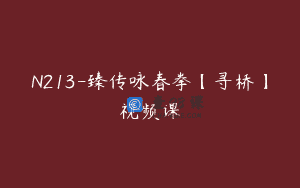 N213-臻传咏春拳【寻桥】视频课