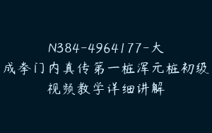 N384-4964177-大成拳门内真传第一桩浑元桩初级视频教学详细讲解