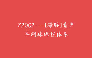 Z2002—[海豚]青少年网球课程体系