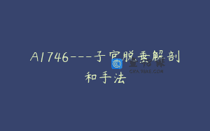 A1746—子官脱垂解剖和手法