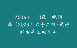 Z0368---[]藏_晚间课（2023）右手二阶-藏婷婷古筝运动医学