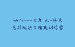 A927—《九栢米-抖店店群玩法》陪跑训练营