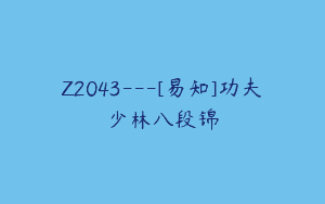 Z2043—[易知]功夫少林八段锦