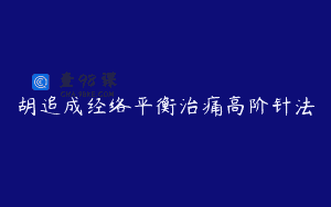 胡追成经络平衡治痛高阶针法