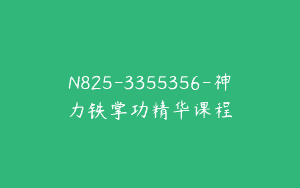 N825-3355356-神力铁掌功精华课程