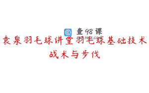袁泉羽毛球讲堂羽毛球基础技术战术与步伐
