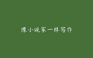 像小说家一样写作
