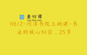 N312-问津书院王炳建-书法的核心秘密_25节