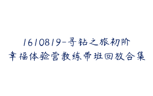 1610819-寻钻之旅初阶幸福体验营教练带班回放合集