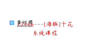 Z2466---[海豚]干花系统课程