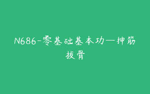N686-零基础基本功—抻筋拔骨