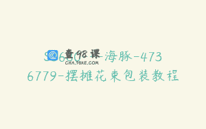S3680—海豚-4736779-摆摊花束包装教程