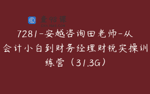 7281-安越咨询田老师-从会计小白到财务经理财税实操训练营（31.3G）