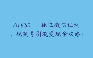 A1635—抓住微信红利，视频号引流变现全攻略！