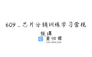 609_芯片分销训练学习营视频课