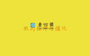 肌肉拉伸与强化