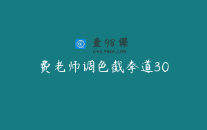 费老师调色截拳道30