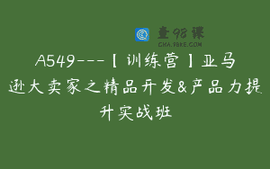 A549—【训练营】亚马逊大卖家之精品开发&产品力提升实战班