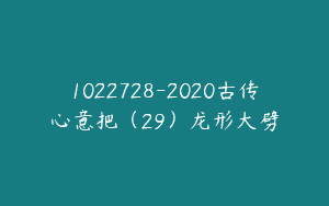 1022728-2020古传心意把（29）龙形大劈