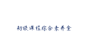 初级课程综合素养全
