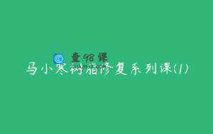 马小寒树脂修复系列课(1)