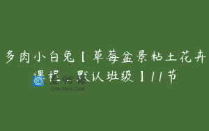 多肉小白兔【草莓盆景粘土花卉课程_默认班级】11节