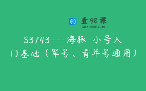 S3743---海豚-小号入门基础（军号、青年号通用）