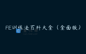 FE训练法百科大全（全面版）