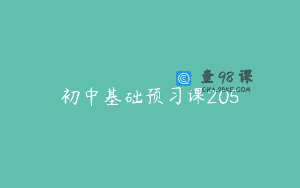 初中基础预习课205