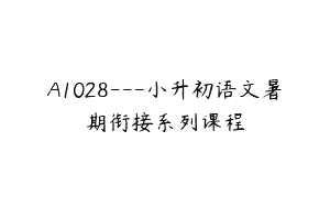A1028—小升初语文暑期衔接系列课程