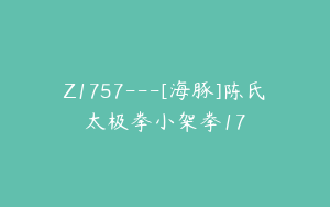Z1757---[海豚]陈氏太极拳小架拳17