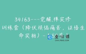 34163---觉醒.禅实修训练营（降伏烦恼痛苦，证悟生命实相）-【59节】