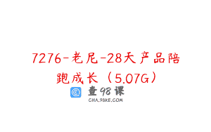 7276-老尼-28天产品陪跑成长（5.07G）