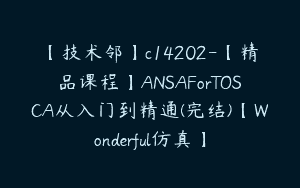 【技术邻】c14202-【精品课程】ANSAForTOSCA从入门到精通(完结)【Wonderful仿真】