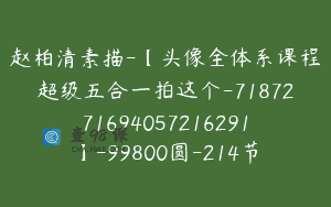 赵柏清素描-【头像全体系课程超级五合一拍这个-7187271694057216291】-99800圆-214节