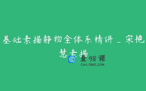 基础素描静物全体系精讲_宋艳慧素描