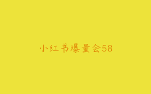 小红书爆量会58