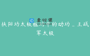 扶阳功太极桩功中的动功_王战军太极