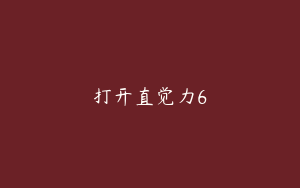 打开直觉力6