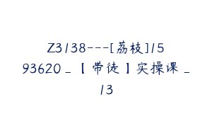 Z3138---[荔枝]1593620_【带徒】实操课_13