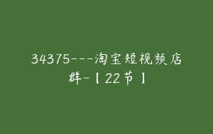 34375---淘宝短视频店群-【22节】