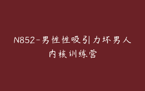 N852-男性性吸引力坏男人内核训练营