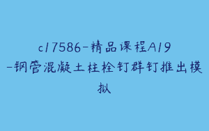 c17586-精品课程A19-钢管混凝土柱栓钉群钉推出模拟