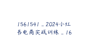 1561541_2024小红书电商实战训练_16